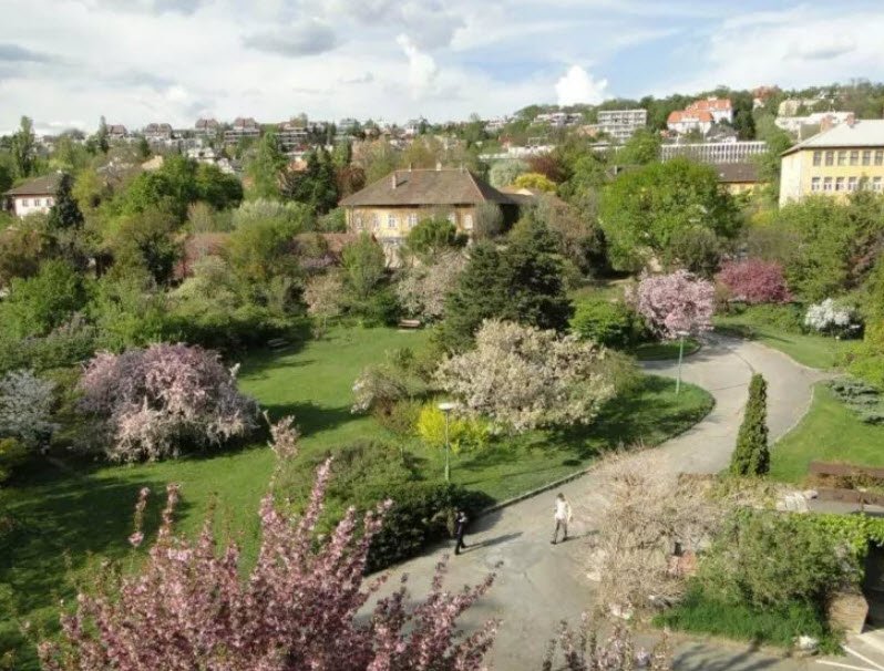 Rágyánszky Arborétum, Hungary